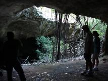 Conch Bar Cave Upper Level