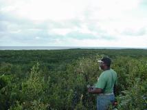 Above Conch Bar Cave