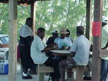 A Game of Dominos
