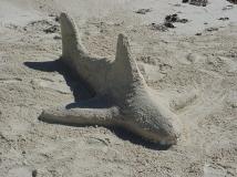 Sand Shark